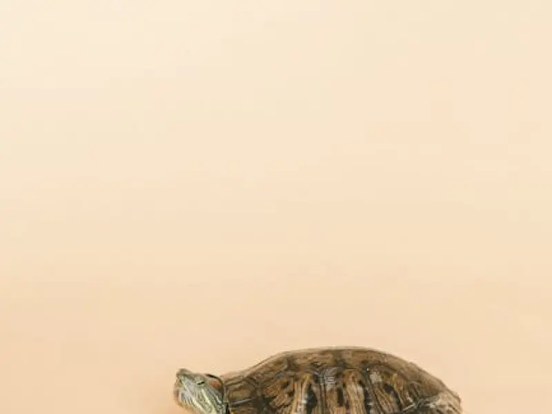 女人越有这3个表现，男人越不会珍惜女人！