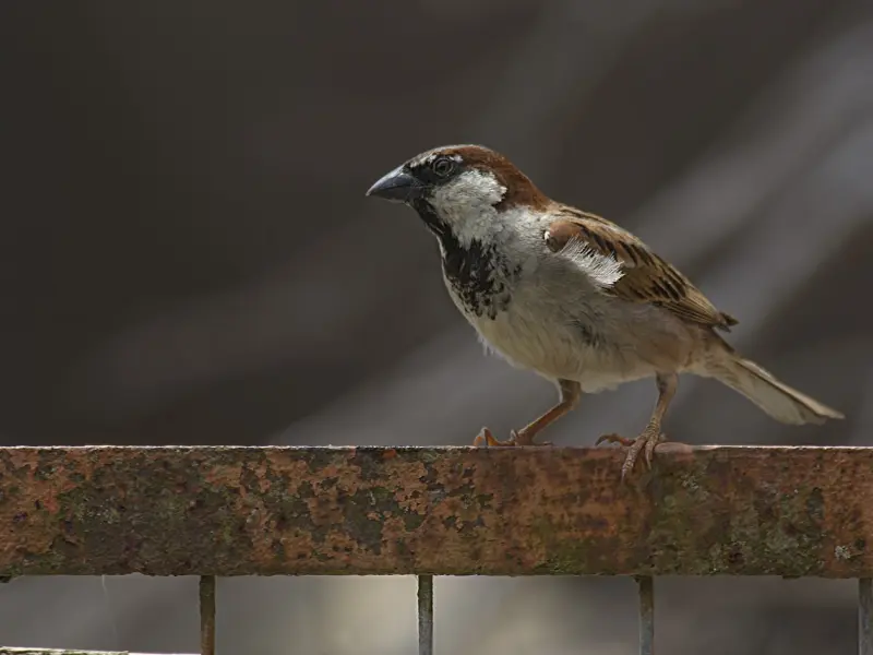女人越是这样对你，其实是害怕失去你，别傻傻的不懂