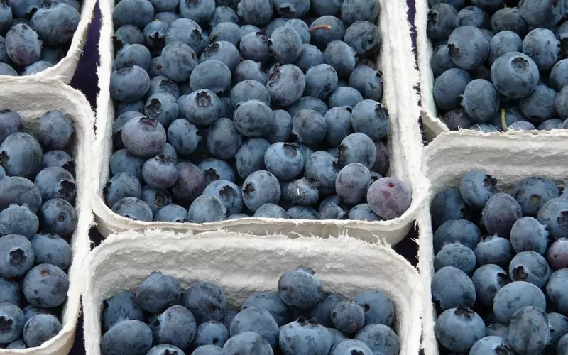 女人在这方面越“坏”，男人越会死心塌地对你