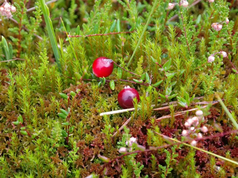 男人对这3件事越“随便”，越说明他爱你！