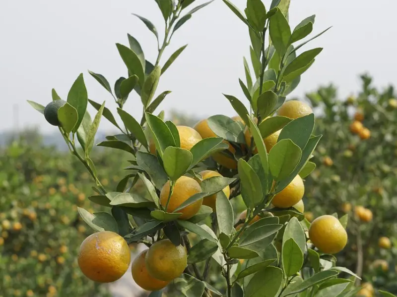 男人这4件事越“频繁”，代表爱你越深，一般人“装”不出来！