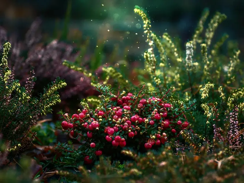 你越合群，混得越差！