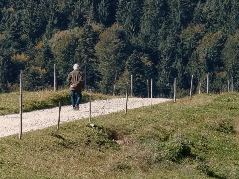 越苛刻的人越不能挽回自己的爱情