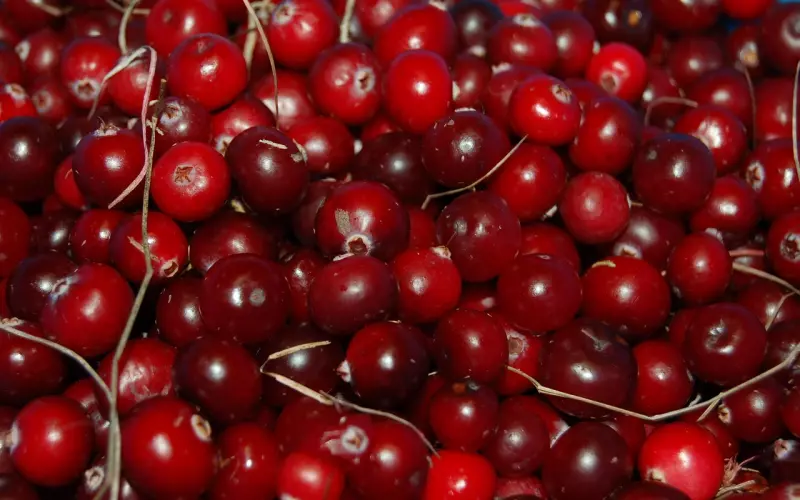 越挽回越厌恶，教我如何挽回男友的心？