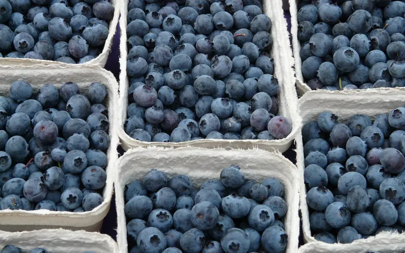 女人在此三个方面越“不安分”，男人越日思夜想，尤其第一种