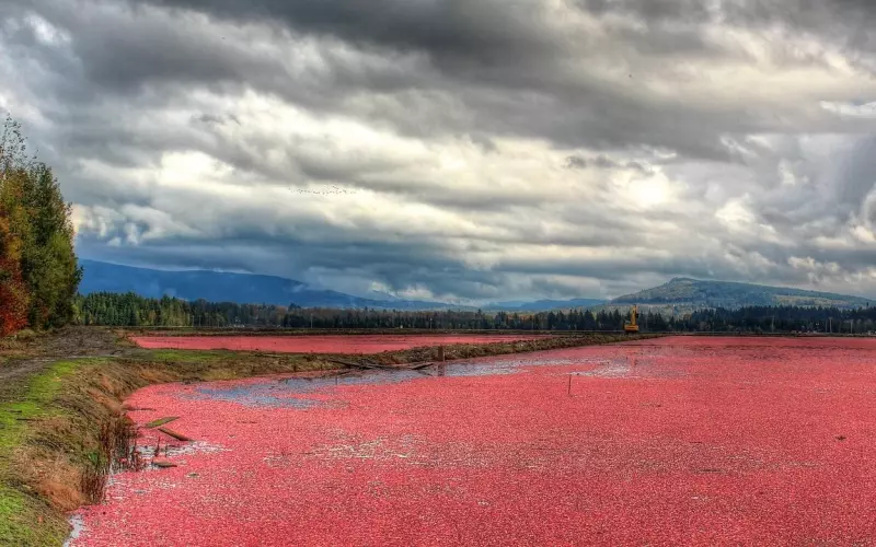 越有城府的人，这五个特征越明显，你有吗？