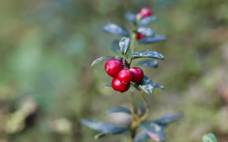 这3件事女人做得越多 男人越不会爱你