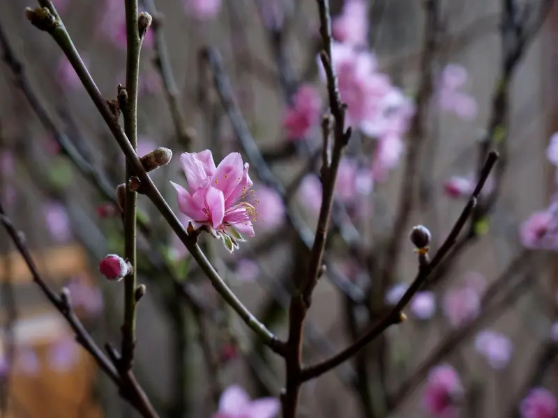 越想对男人有吸引力，就越要做好这3点！