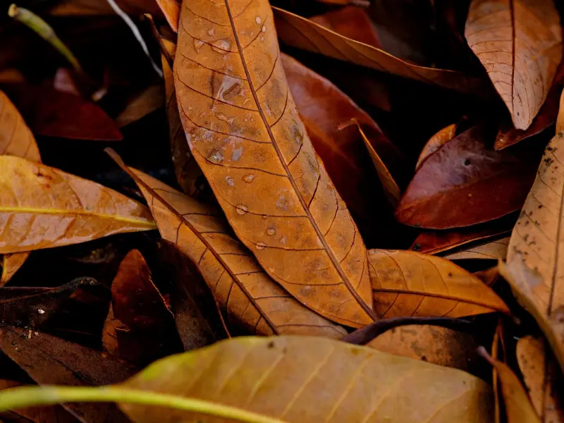 最让女人讨厌的行为，不想分手的你，可千万别干