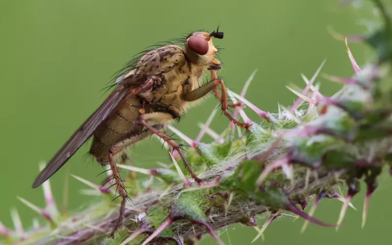 2019微信最经典的句子，句句刺心，让人深同感受！