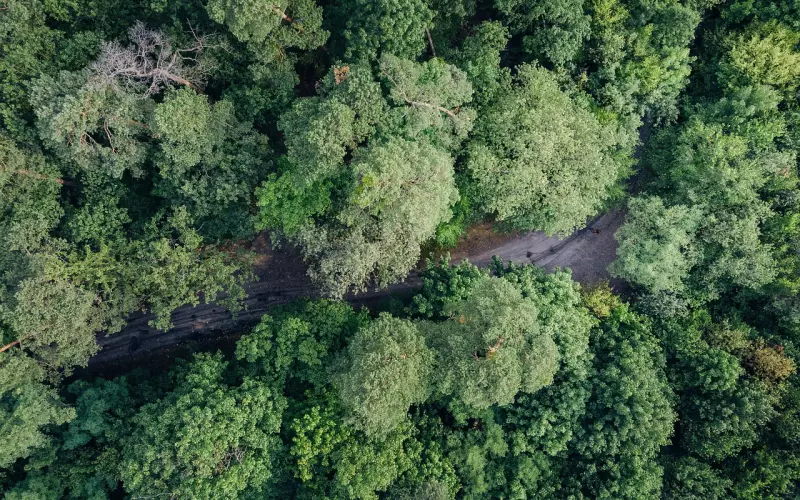 最坎坷的爱情——沈从文与张兆和