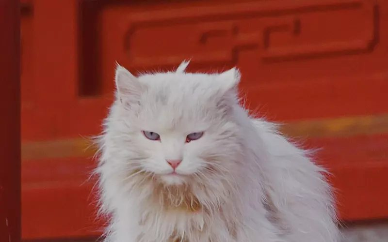 最霸气的一段话！（送给你）