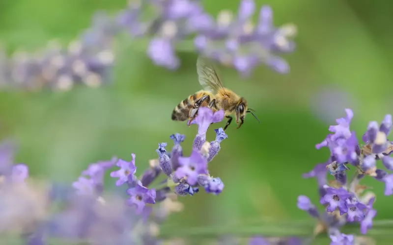 分手挽回最有效的办法
