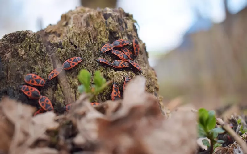 挽回男友最有效的办法