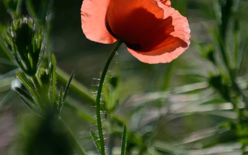 分手挽回最有效的办法