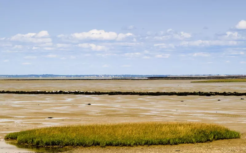 挽回男友最有效的话