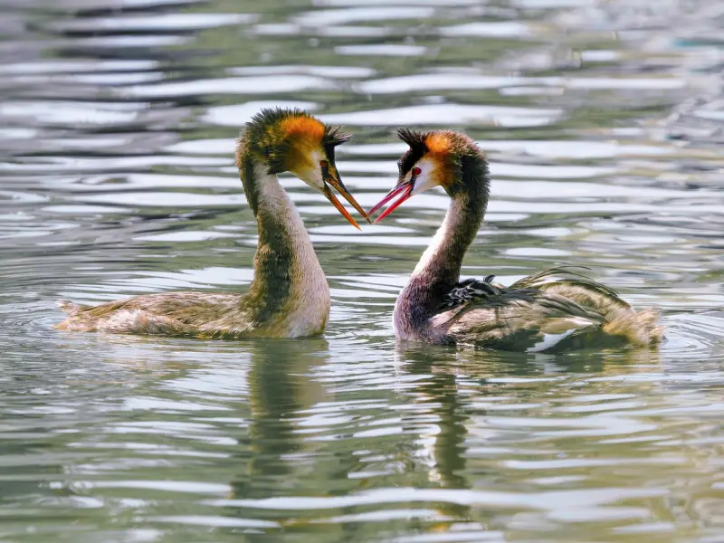 最走心的朋友圈心情说说短句，朋友圈触动心底的话语