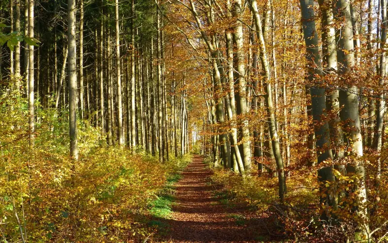 最走心的伤感心情句子，句句深同感受！