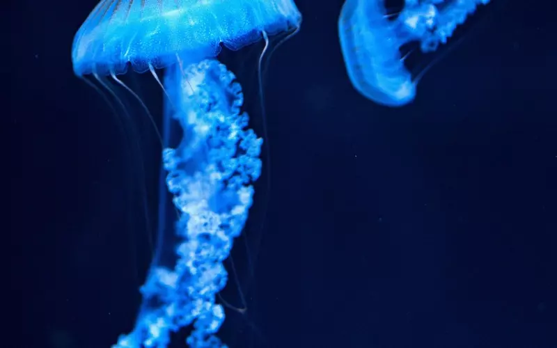 最刺痛人心的一句话，瞬间让人泪崩！