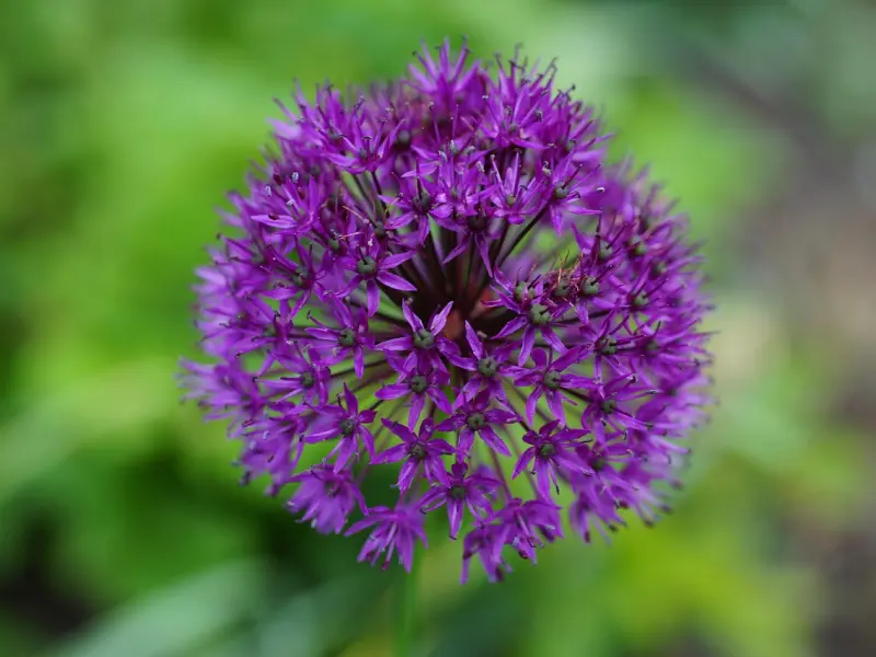 挽回爱情最重要的是踏出第一步