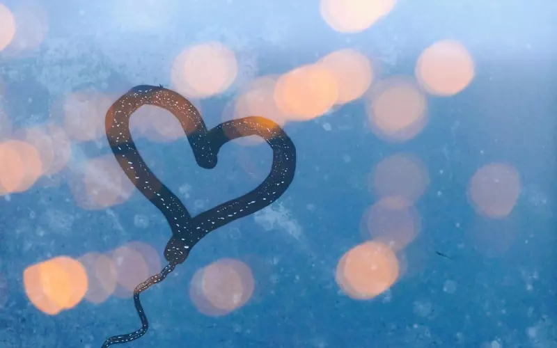 挽回前男友的心 最关键的是断联