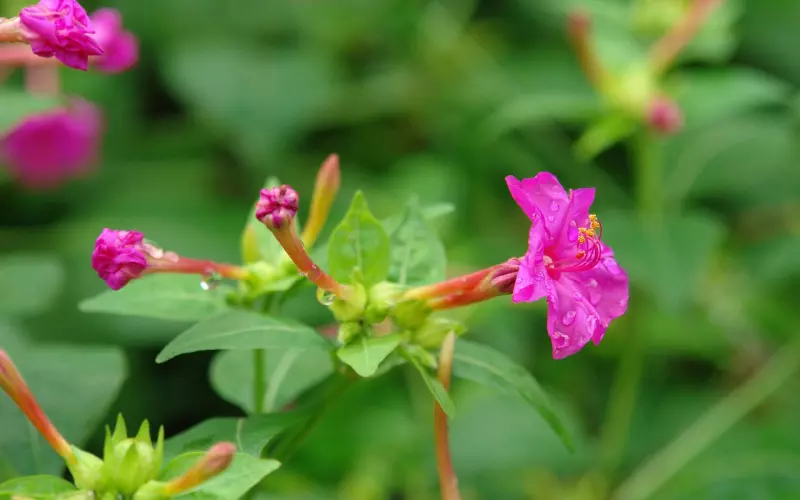 挽回前任最重要的几句话：分分钟让他求你复合