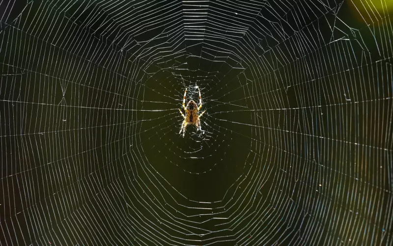 2019最精辟最火的句子，有点霸气！