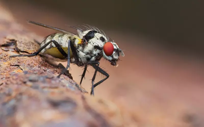 微信最红的一段话，真正聪明的女人！