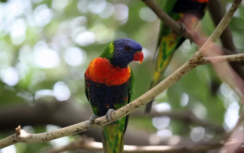 2019朋友圈爆火的句子，句句经典，句句说到心坎上！