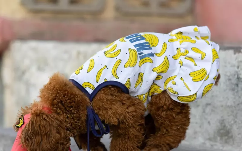 最火的说说短句，句句触动人心，总有一句适合你