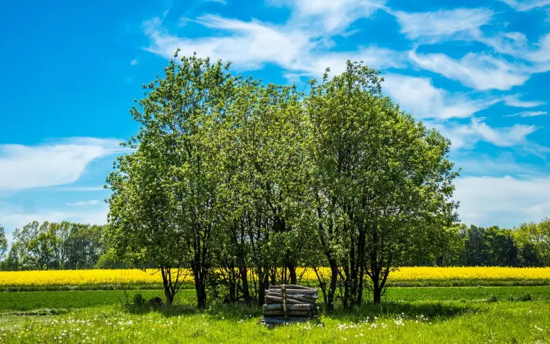 与人相处，最难得的是将心比心。