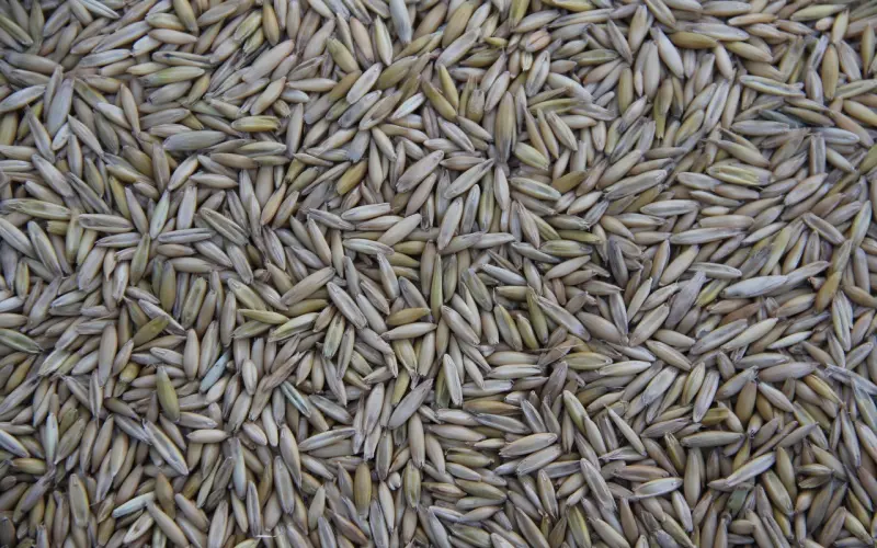 最让人安心温暖的不是有很多人追你，而是有一个你怎么样他都不会走的人