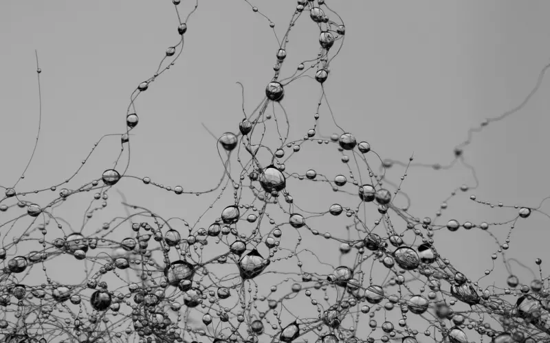 世上最泪满的一句话。