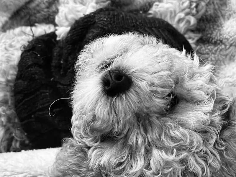 世上最可怕的分手，不过是你的不告而别