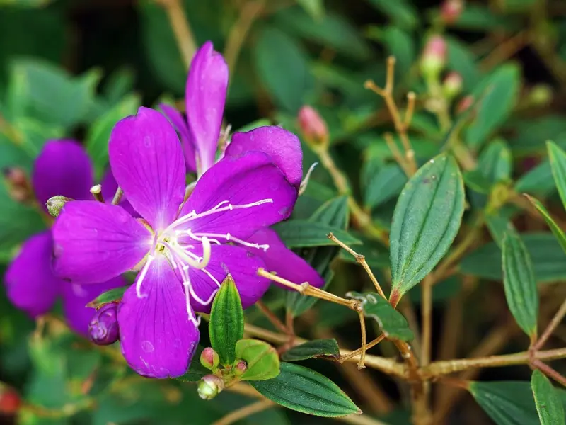 挽回女友最感动道歉话_关于绝交后挽回闺蜜的话 给闺蜜感动哭的道歉信