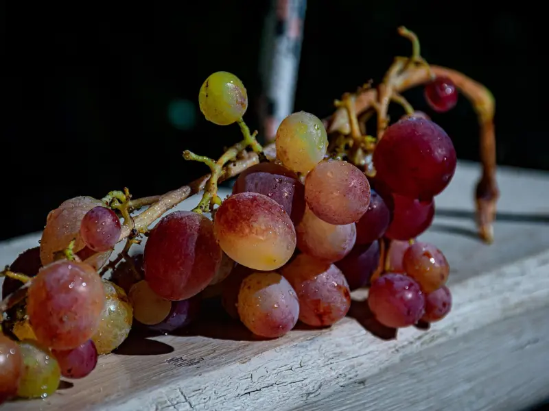 挽回女友最感人的留言_中秋档电影来了！你最想看的是哪一部？