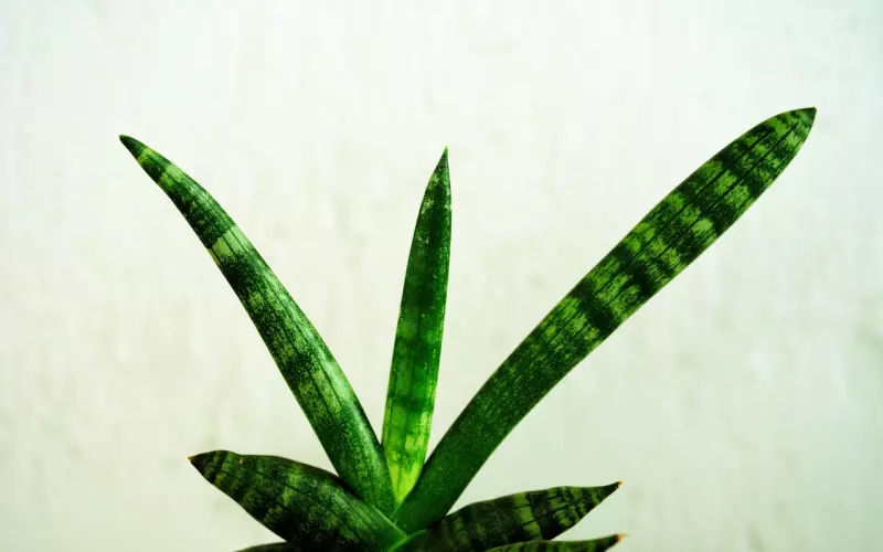 婆婆抱怨自己媳妇懒，娘家妈妈说了这十句话，婆婆一夜没睡！