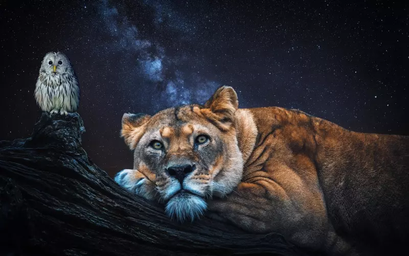 世界上你唯一敢得罪的人！