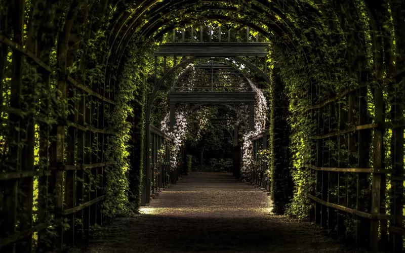 关系破裂的原罪——托付心态