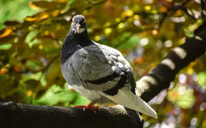 对方正在输入…（聪明人必看）。