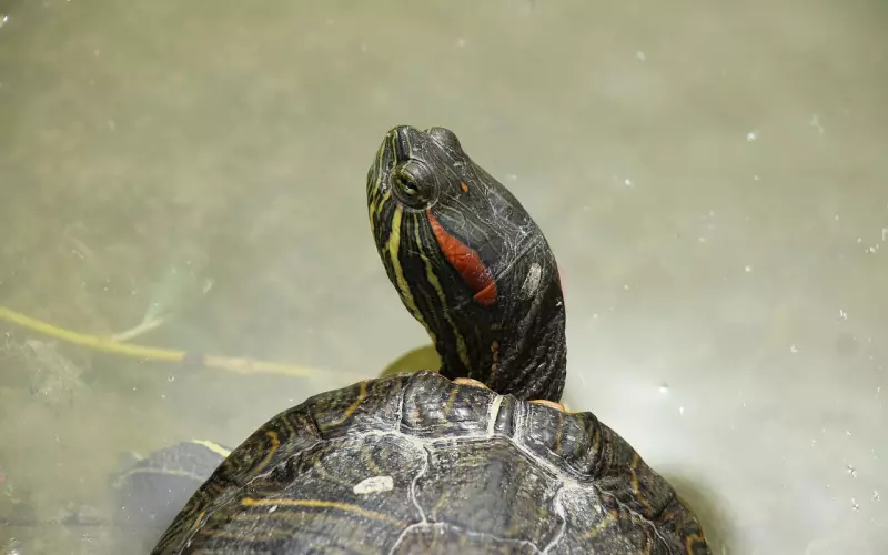 对方正在输入……（聪明人必看）！