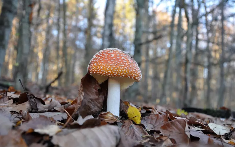 对方出轨了，要如何做才能挽救消失的爱情？