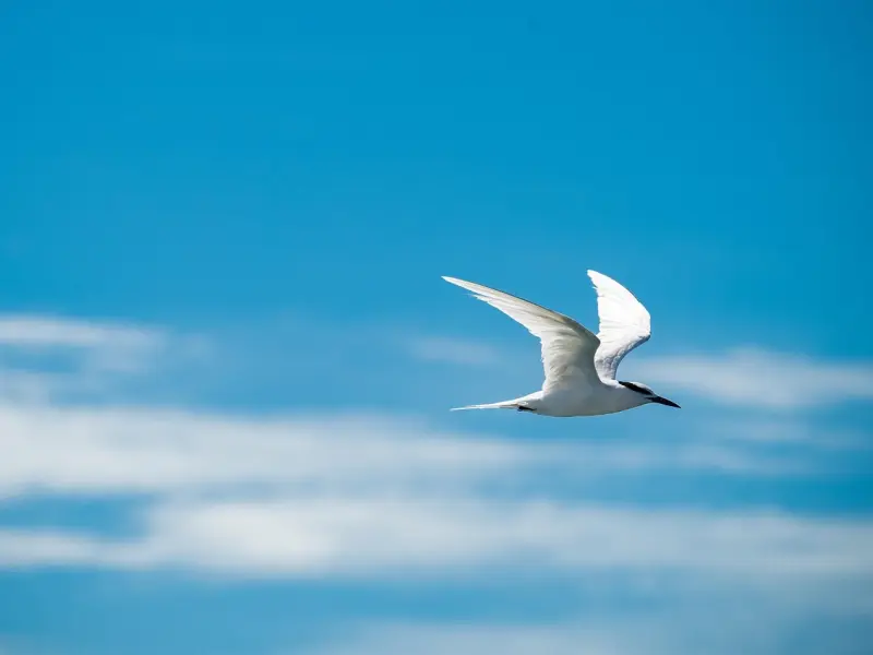 对方的心会动摇，不一定百分之百会变坏