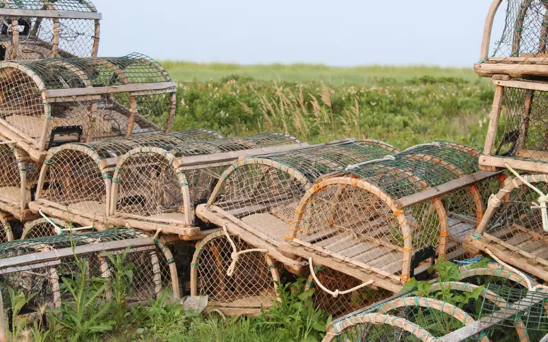 对方的新欢不影响你挽回前任