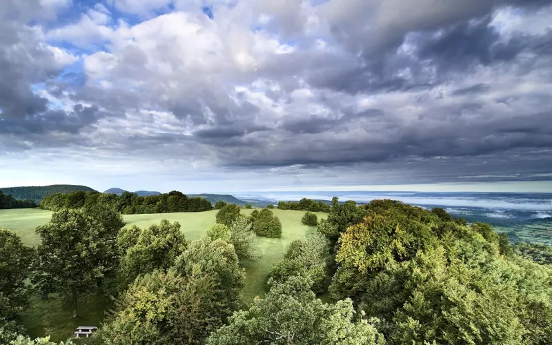 秒回的人应该很温柔吧，如何用信息抓住她的心