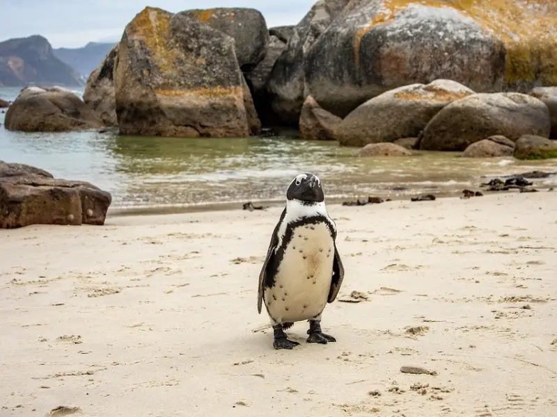 你恨的人，来生不会再见！这辈子就会还完相欠的债！