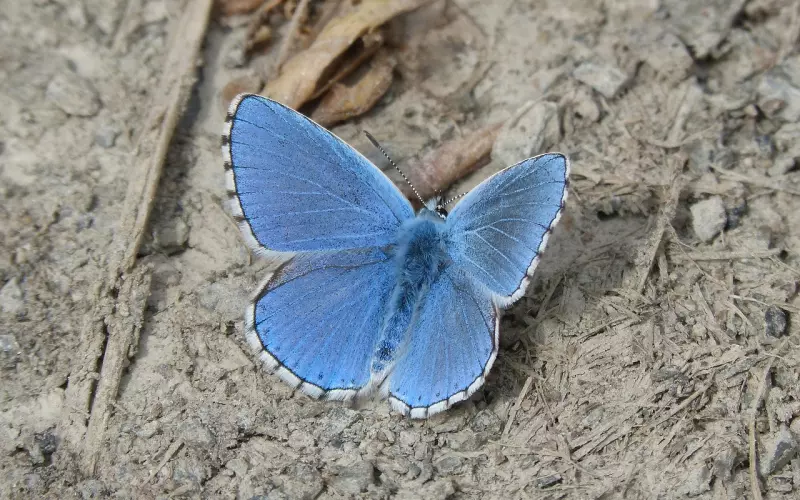 哲学家说：人生的最高目的是幸福