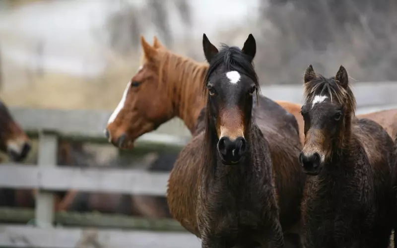 挽回爱情的方案：这三招挽回女友成功率让你惊叹连连！