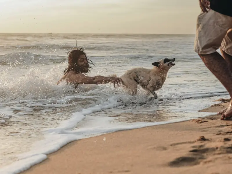 真爱的力量就是让两个人都变成最好的自己