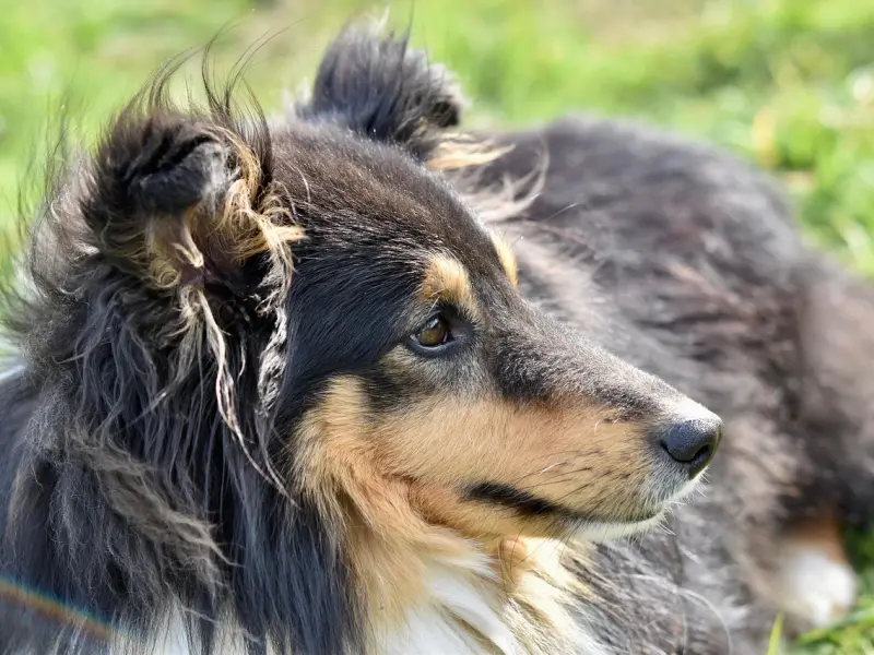 挽回的前提，你得懂如何爱自己。